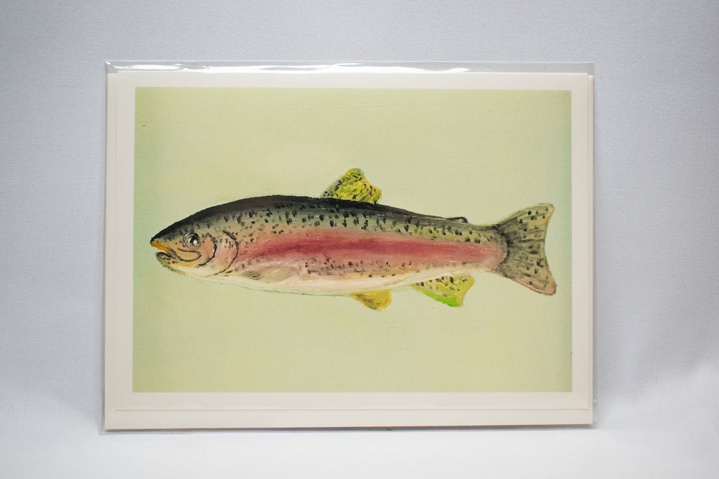 Rainbow Trout Card