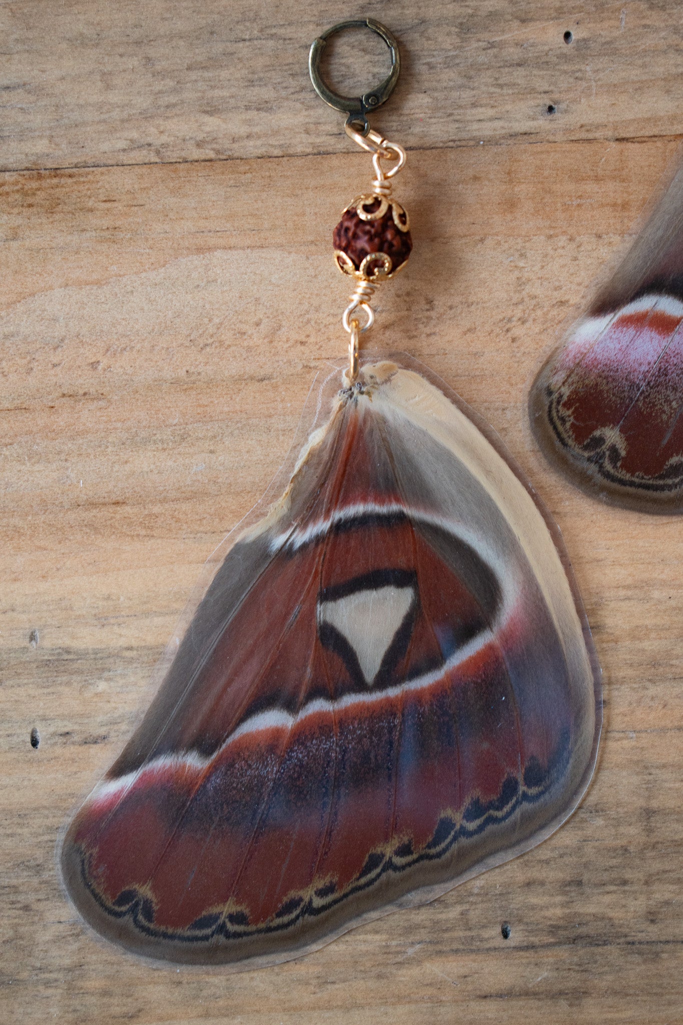Atlas Moth Earrings