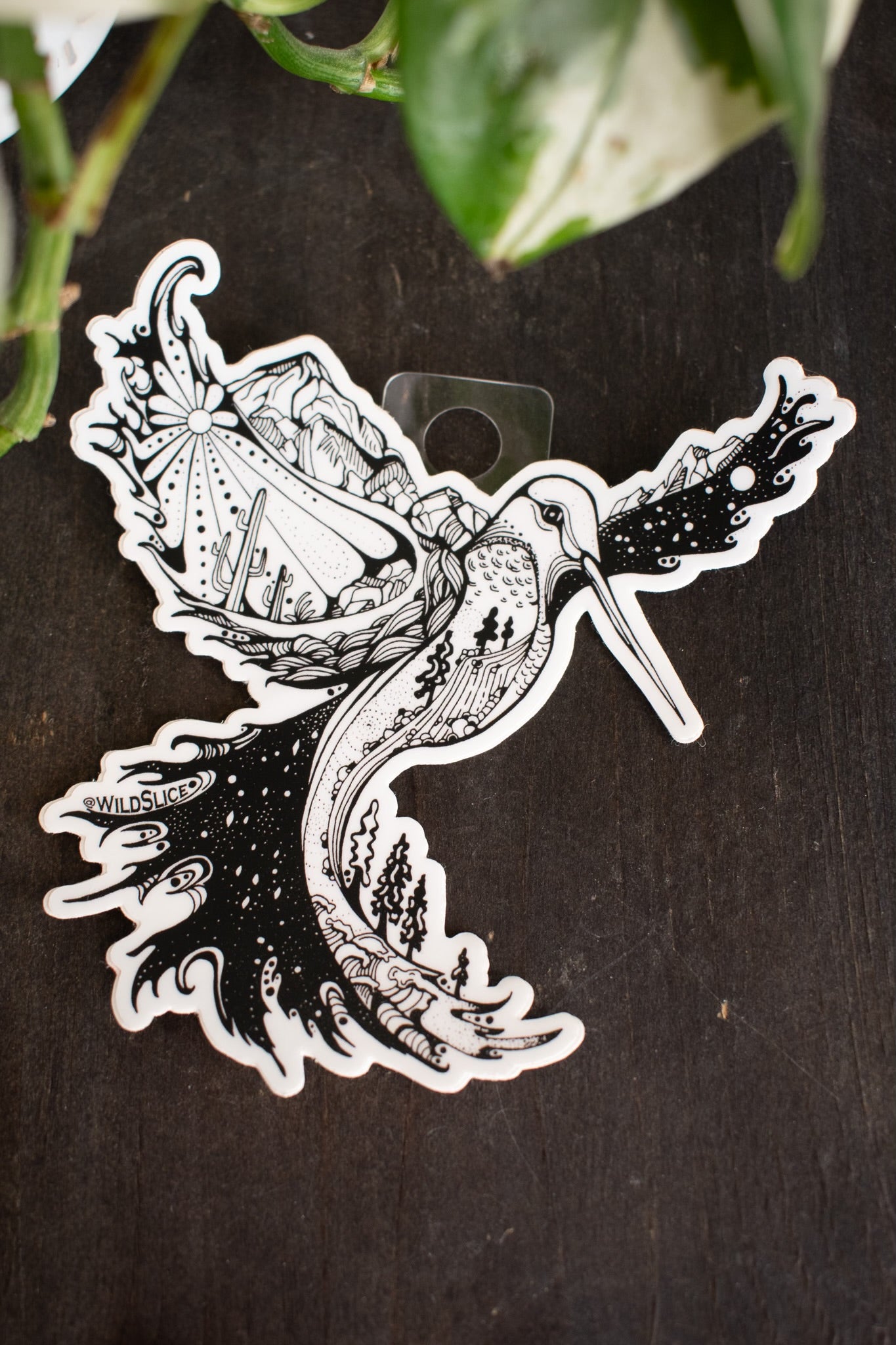 Hummingbird Sticker | 4”