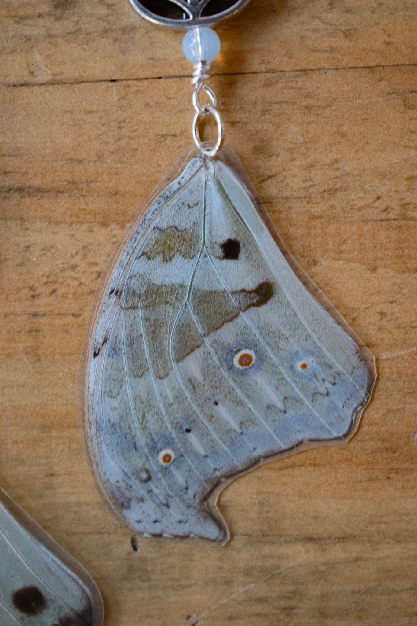 Salamis Parhassus Earrings 2