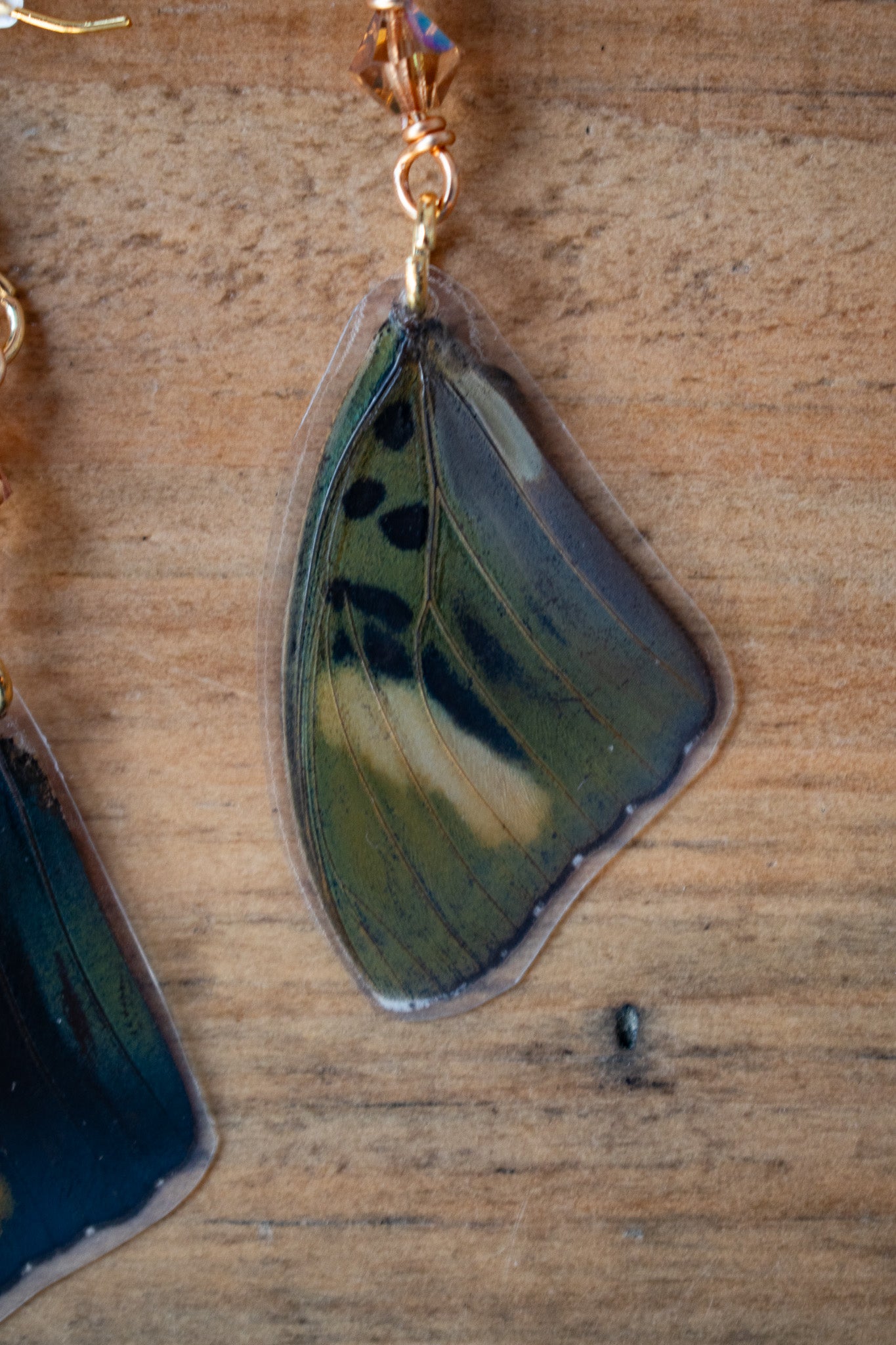 Euphaedra Verso Blue/ Green