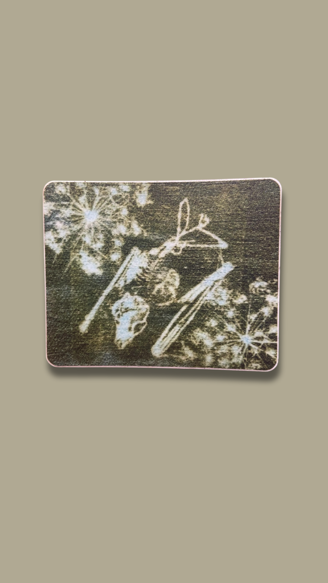 Bat Skeleton Sticker