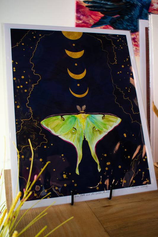 Moth Art Print 11x14 Unframed 003