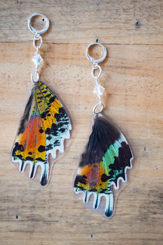 Sunset Moth Earrings