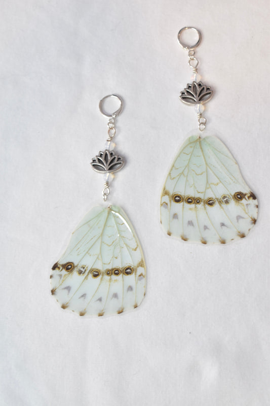 Morpho Catenarius with Glass Opalite Bead Earrings