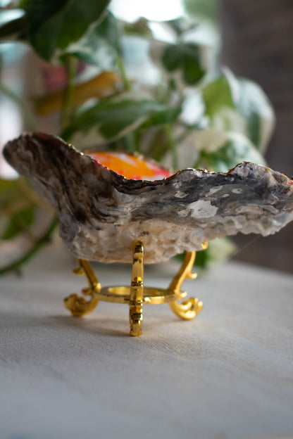 Claw Foot Oyster Dish 006