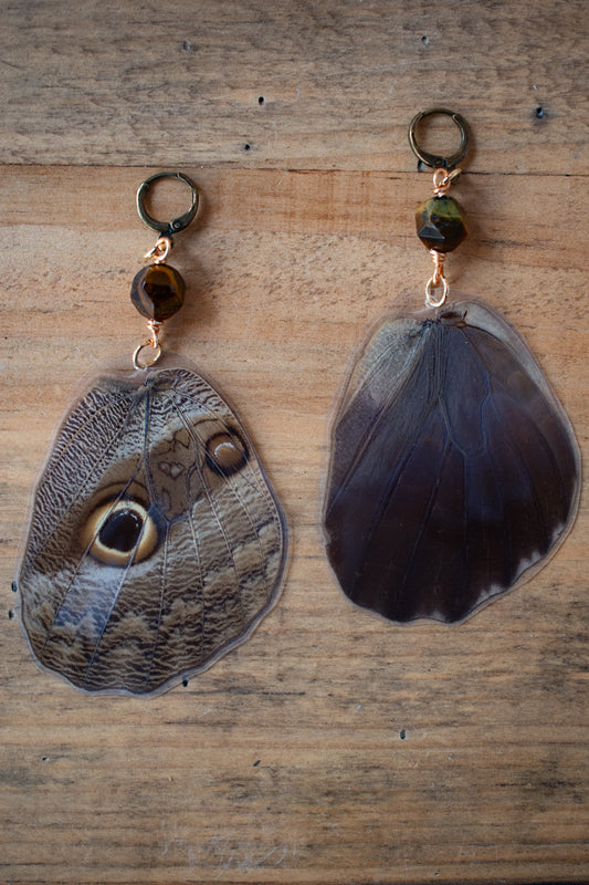 Owl Butterfly Earrings 2