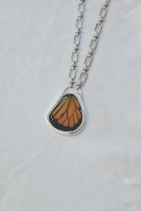 Monarch Butterfly (Bottom Wing)