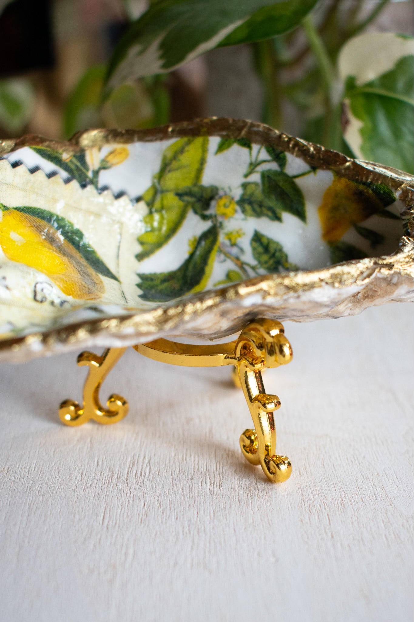 Claw Foot Oyster Dish 010