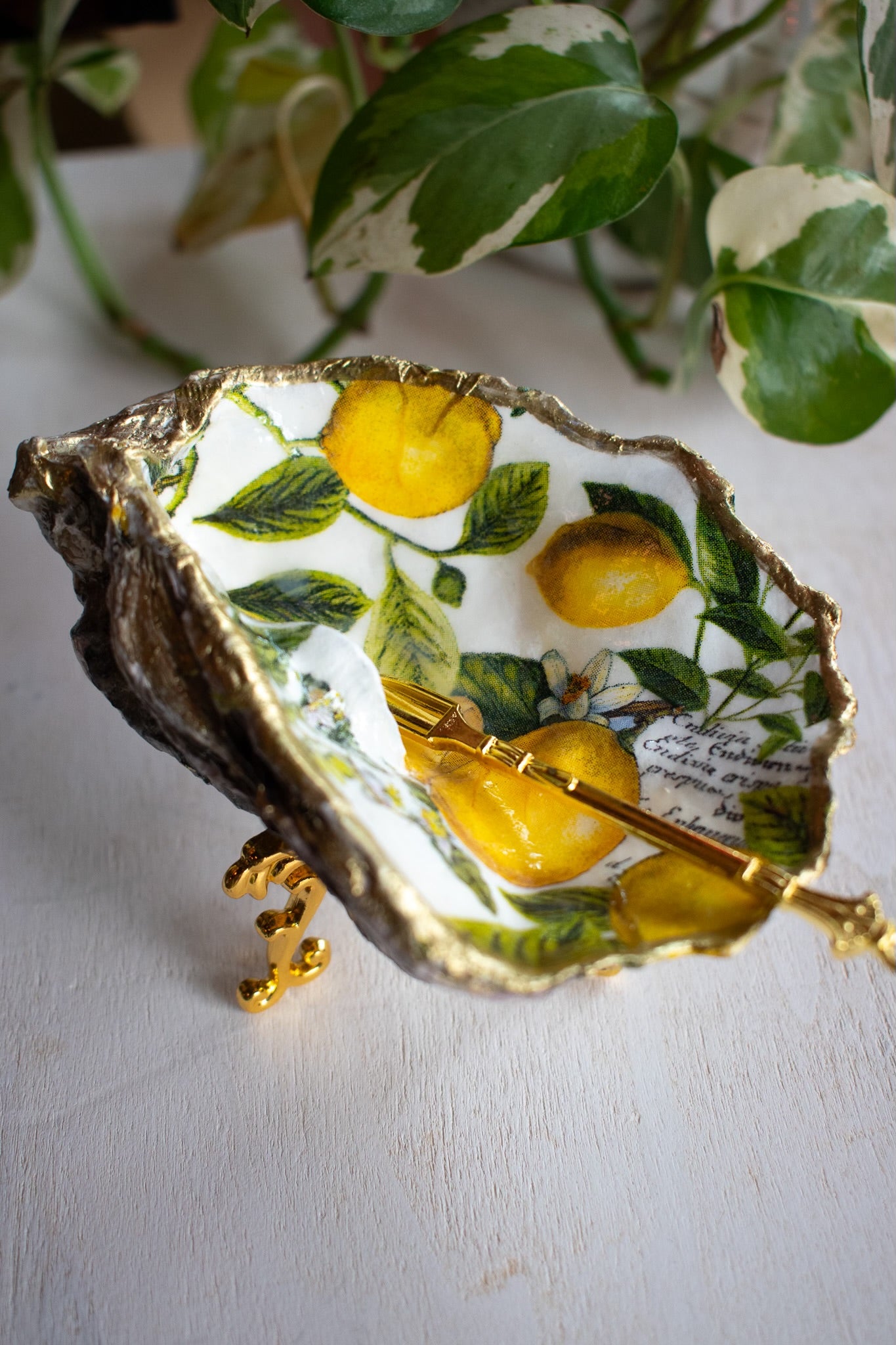 Claw Foot Oyster Dish 007