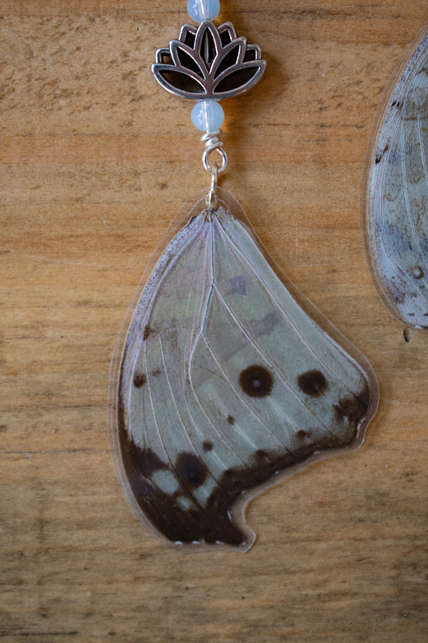 Salamis Parhassus Earrings 2