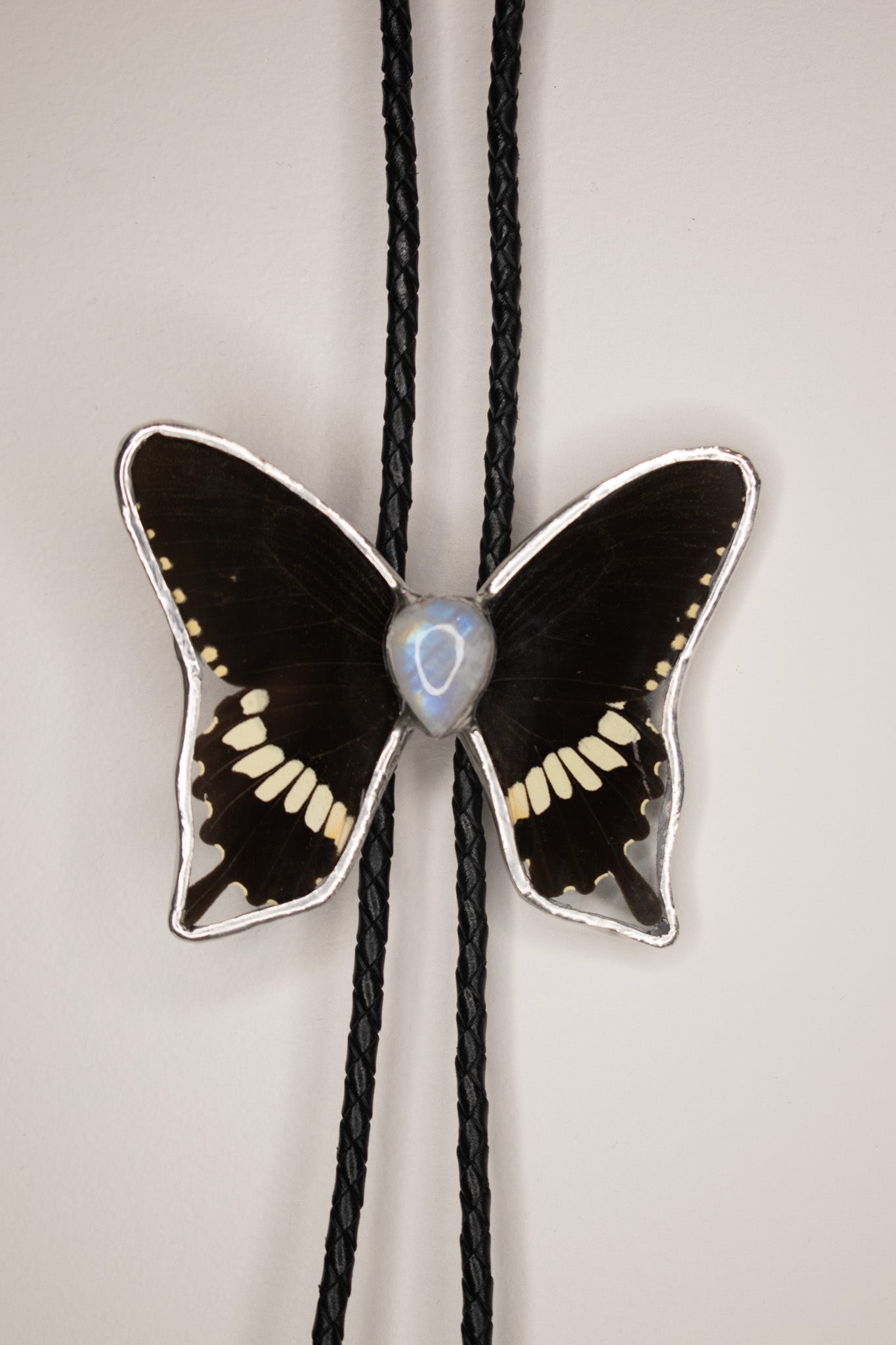 Papilio Nephelus W/ Moonstone Bolo Tie