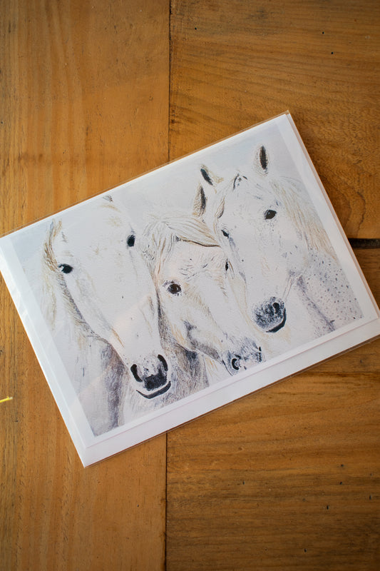 Wild Horses Cards