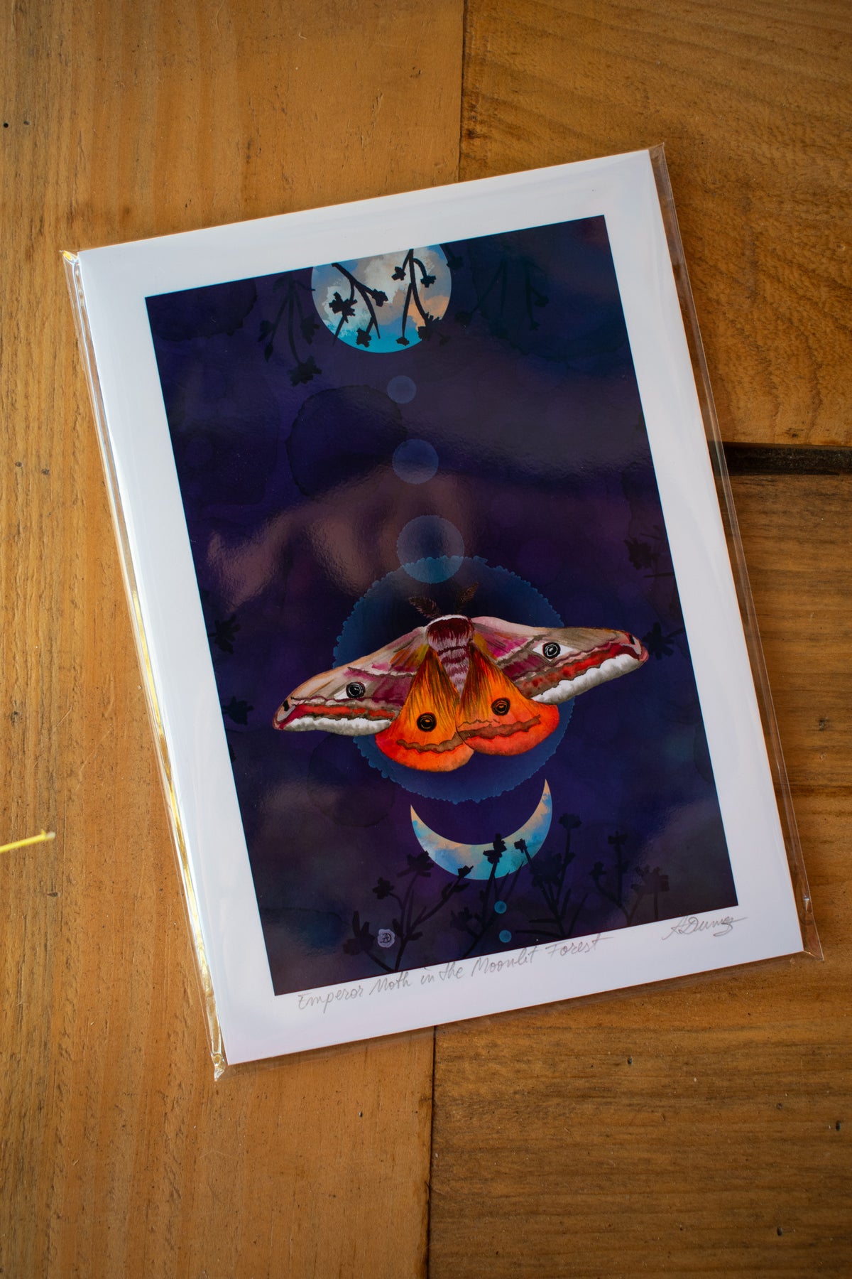 Moth Art Print 5x7 Unframed 004