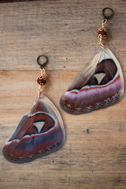 Atlas Moth Earrings