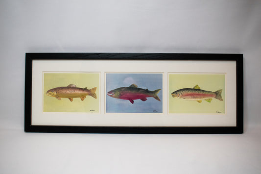 3 Fish Framed Print
