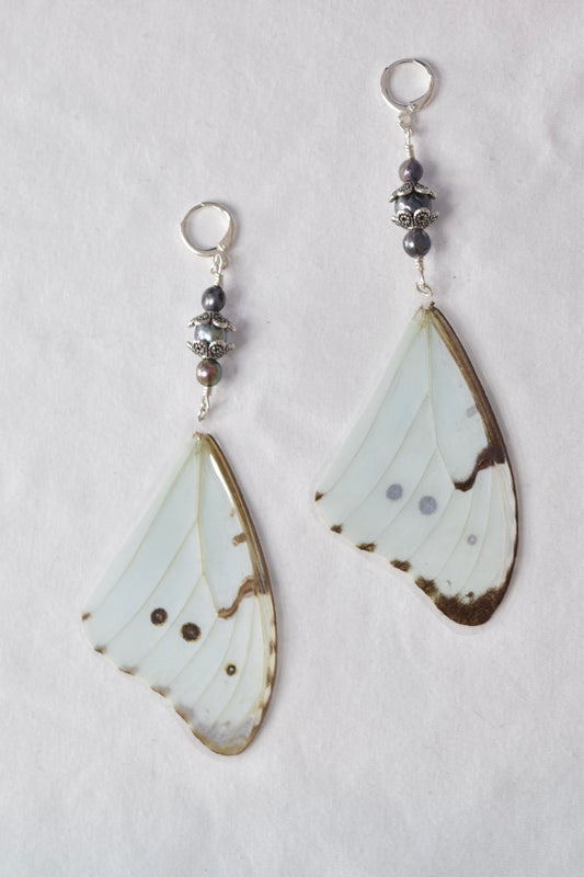 Morpho Catenarius with Black Natural Pearls