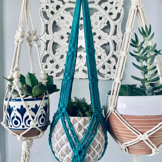 Freestyle Plant Hanger