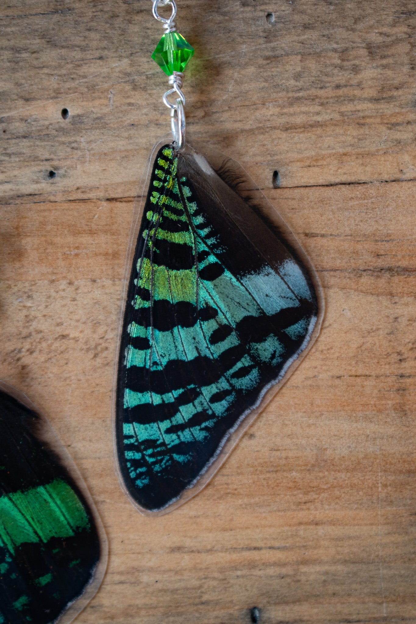 Sunset Moth Earrings