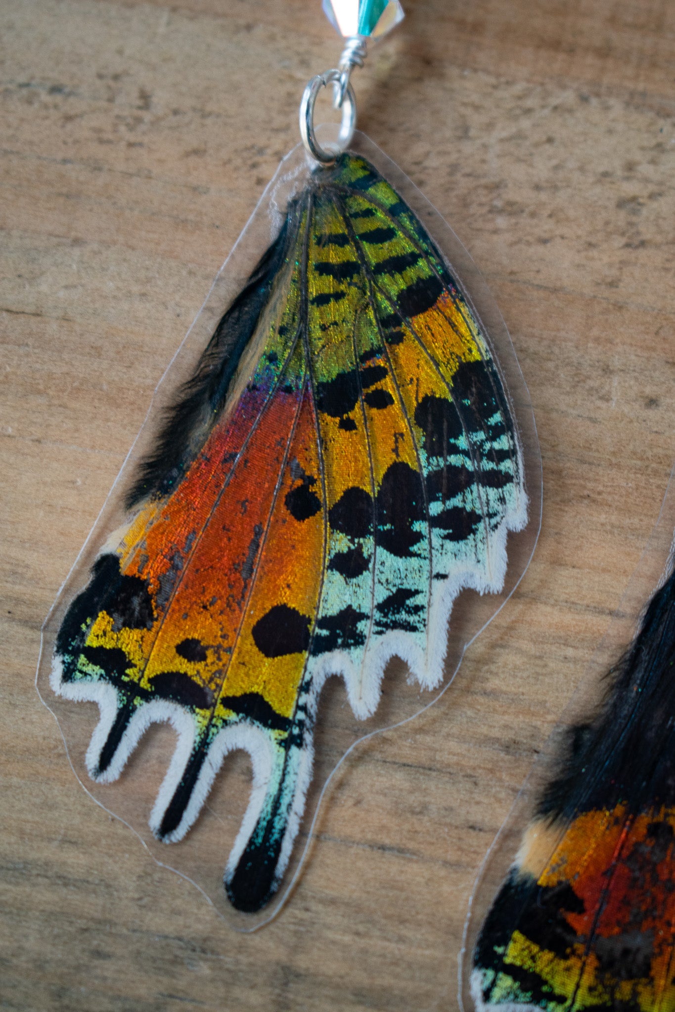 Sunset Moth Earrings