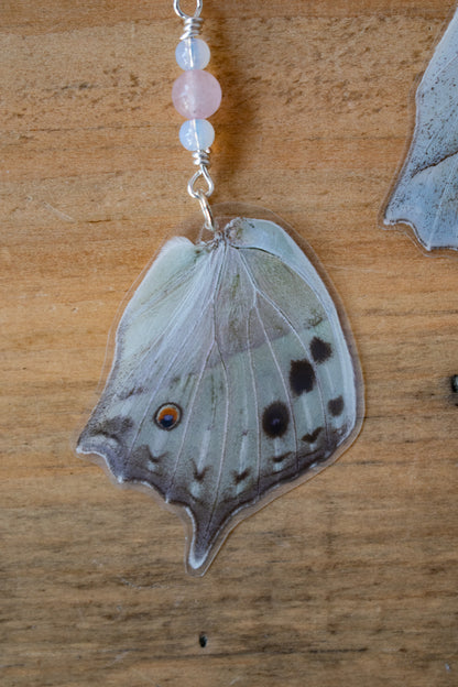 Salamis Parhassus Earrings