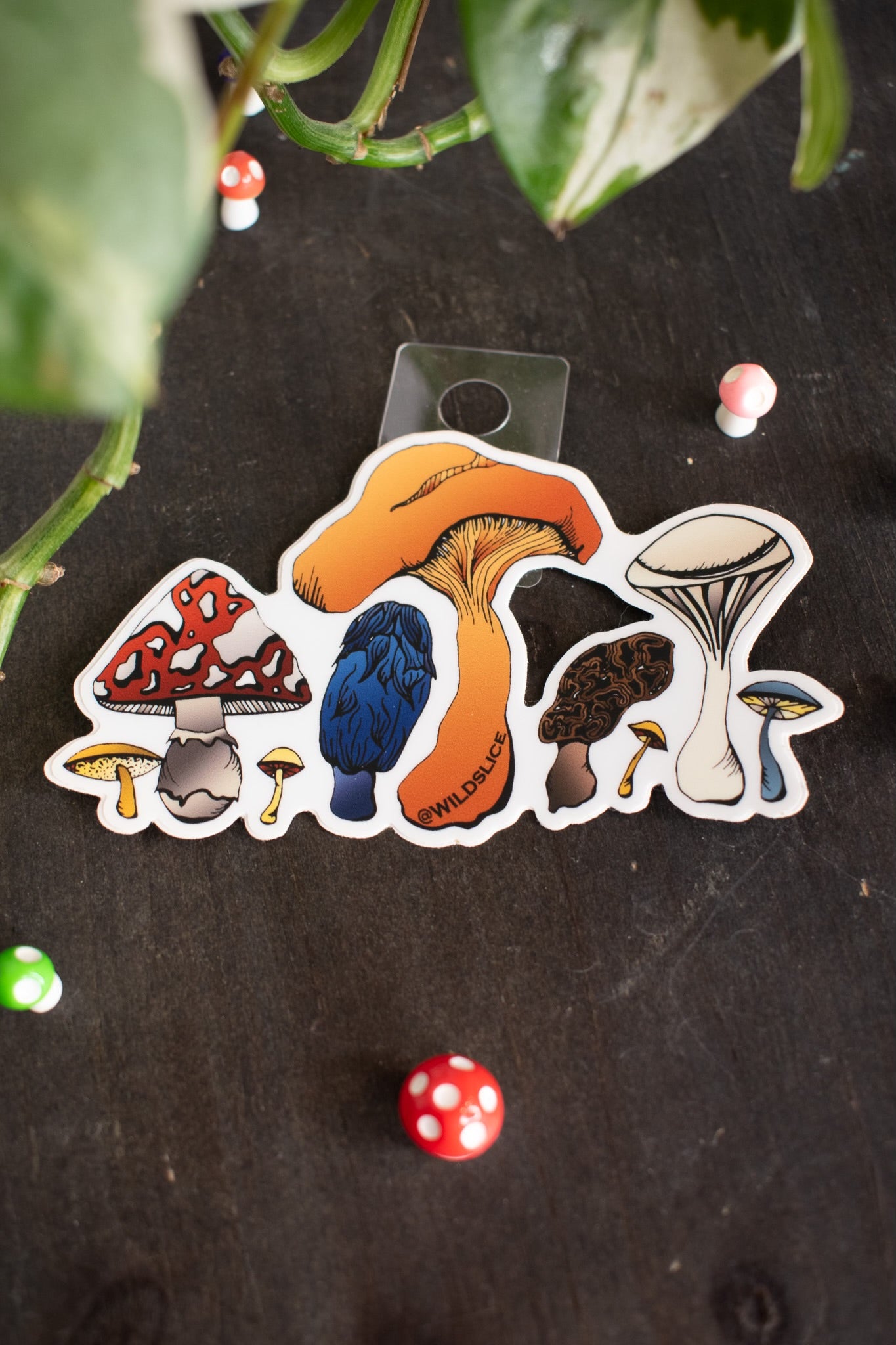 Color Mushrooms Sticker | 4”