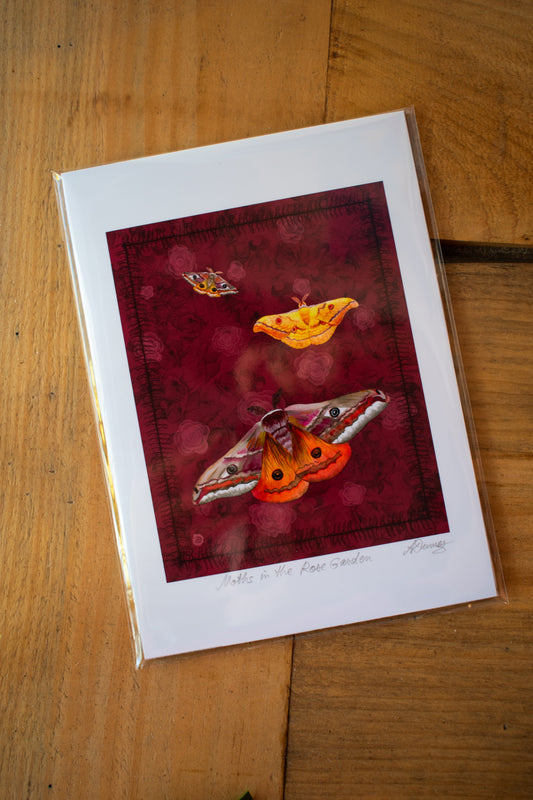 Moth Art Print 5x7 Unframed 003