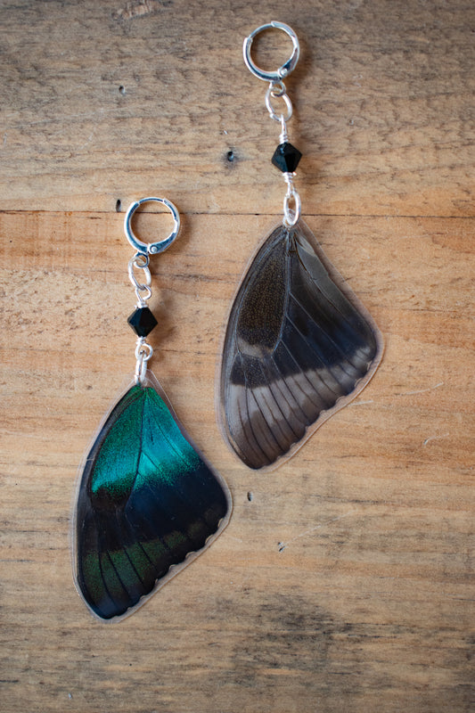 Peacock Butterfly Earrings