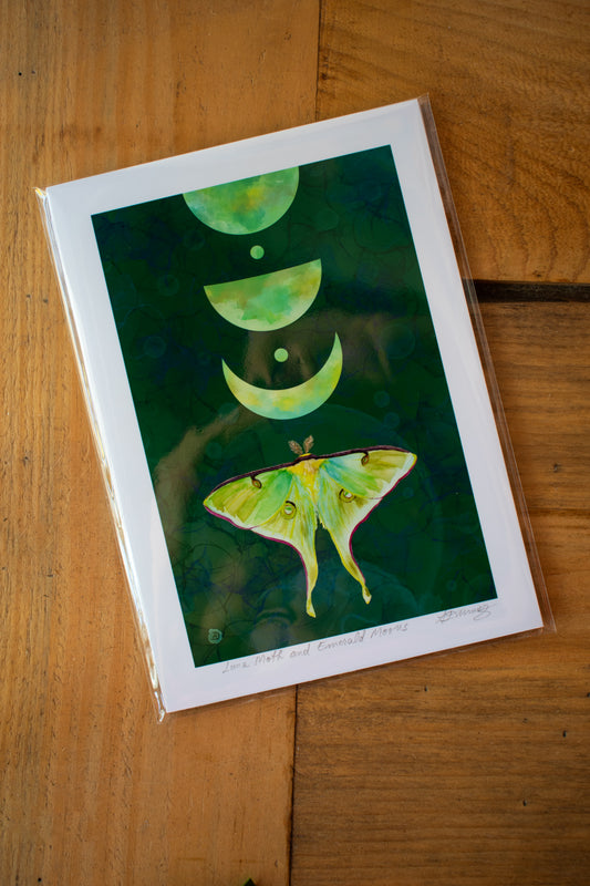 Moth Art Print 5x7 Unframed 001