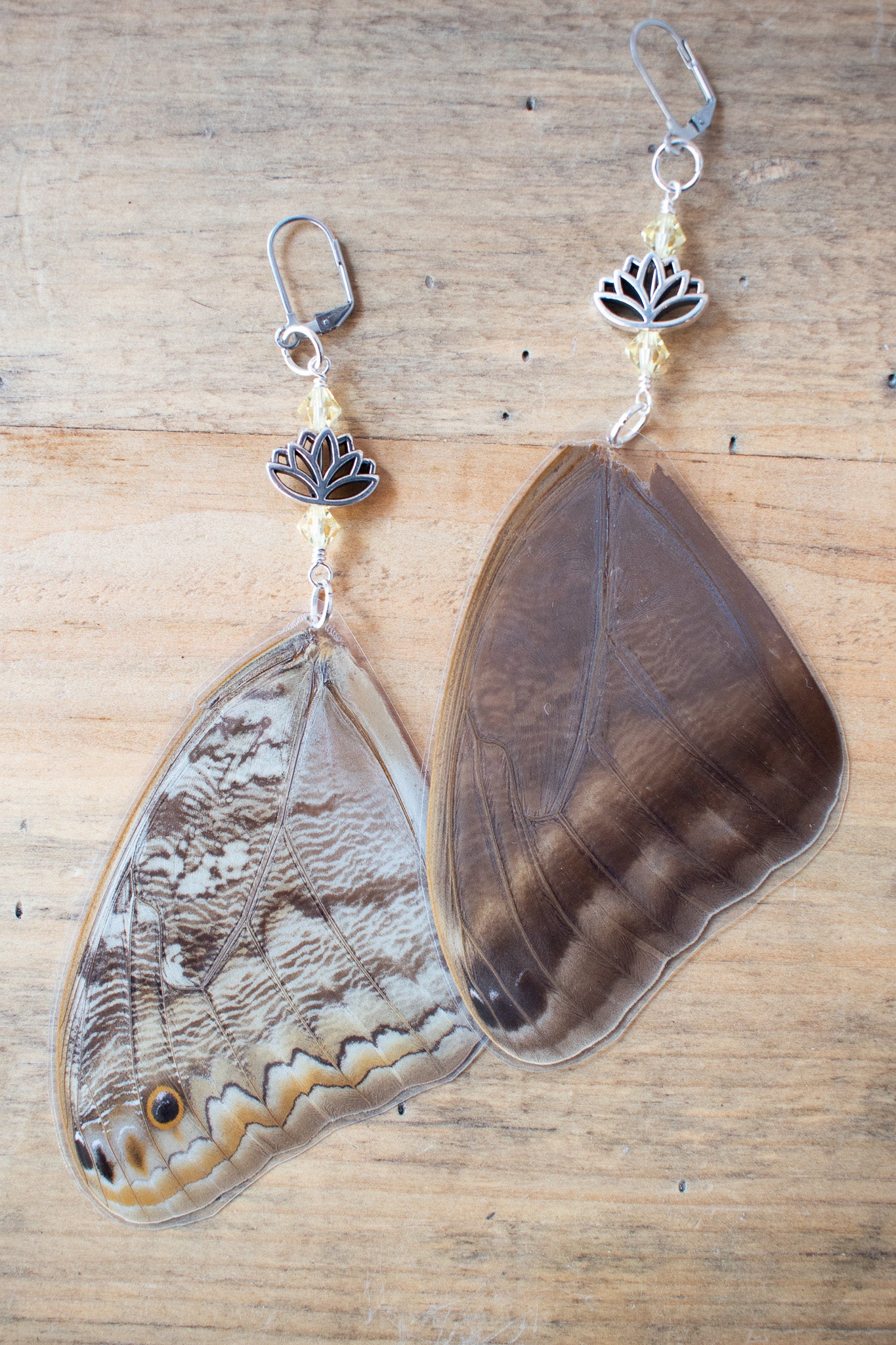 Owl Butterfly Earrings
