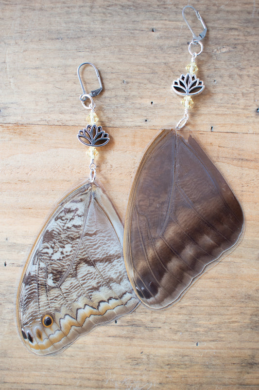 Owl Butterfly Earrings