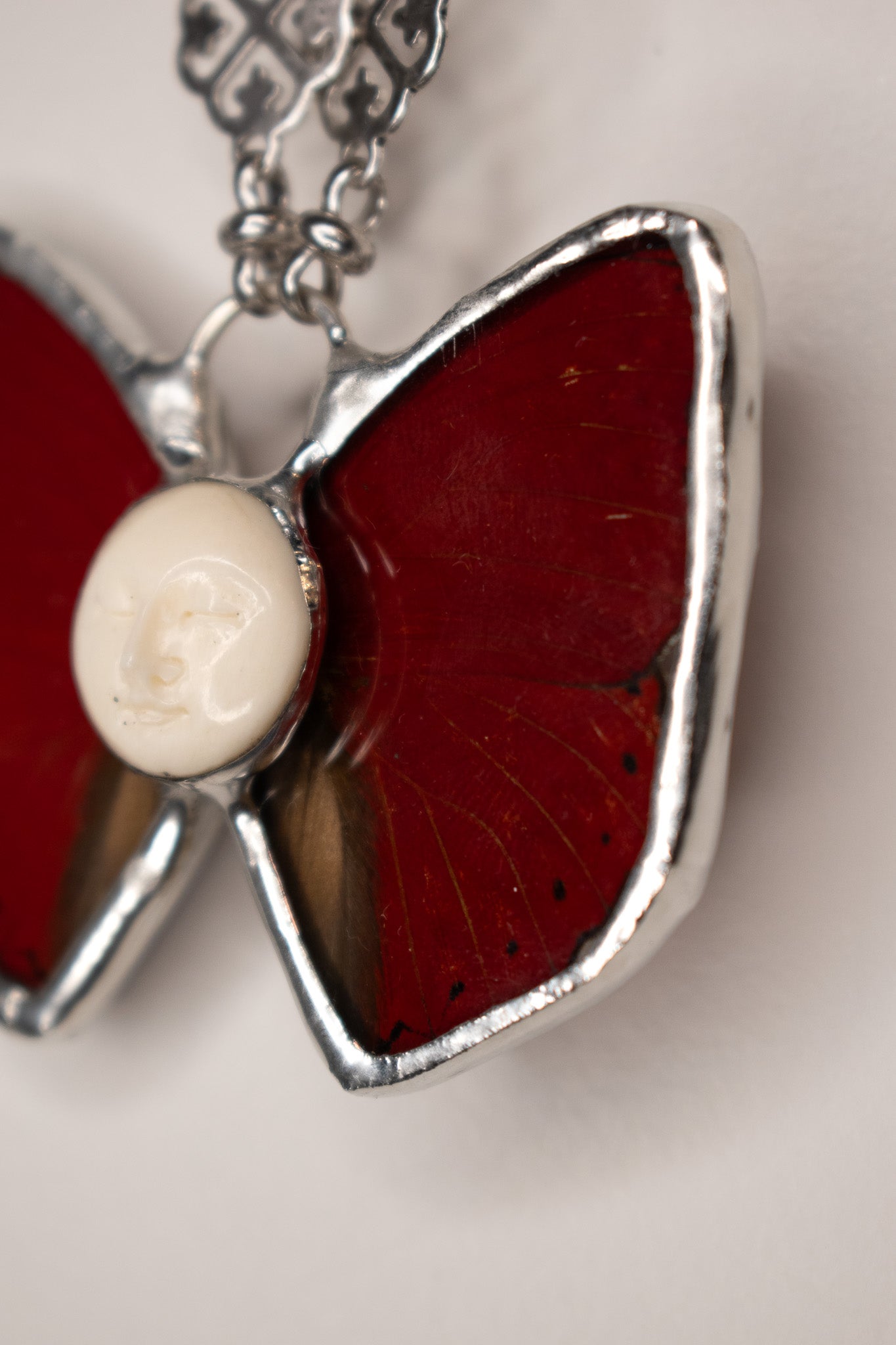 Cymothe Sangaris Butterfly W/ Bovine Moonface