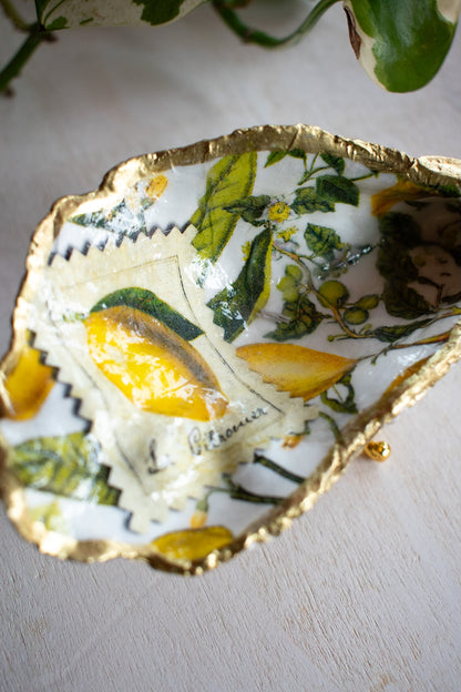 Claw Foot Oyster Dish 010