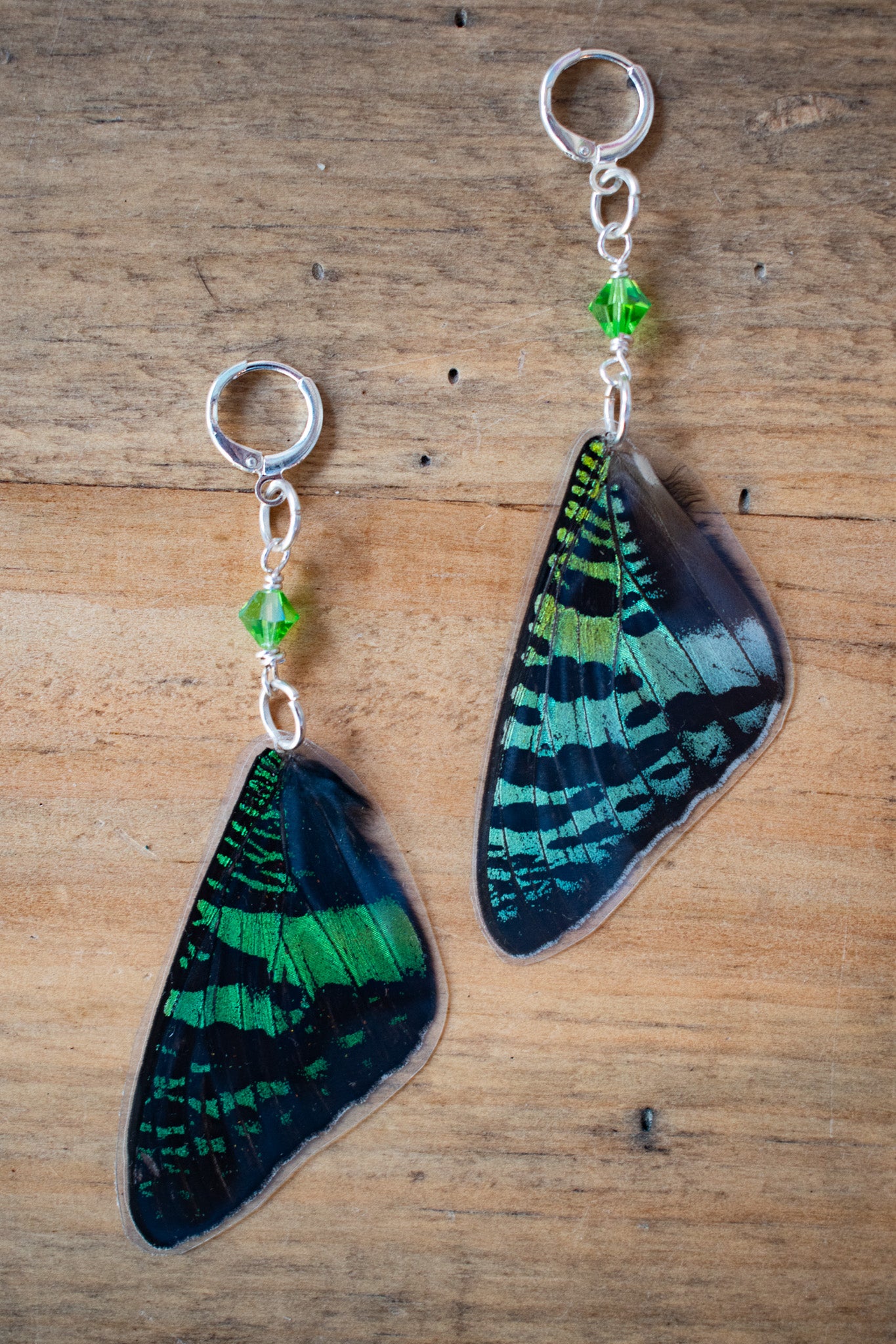 Sunset Moth Earrings