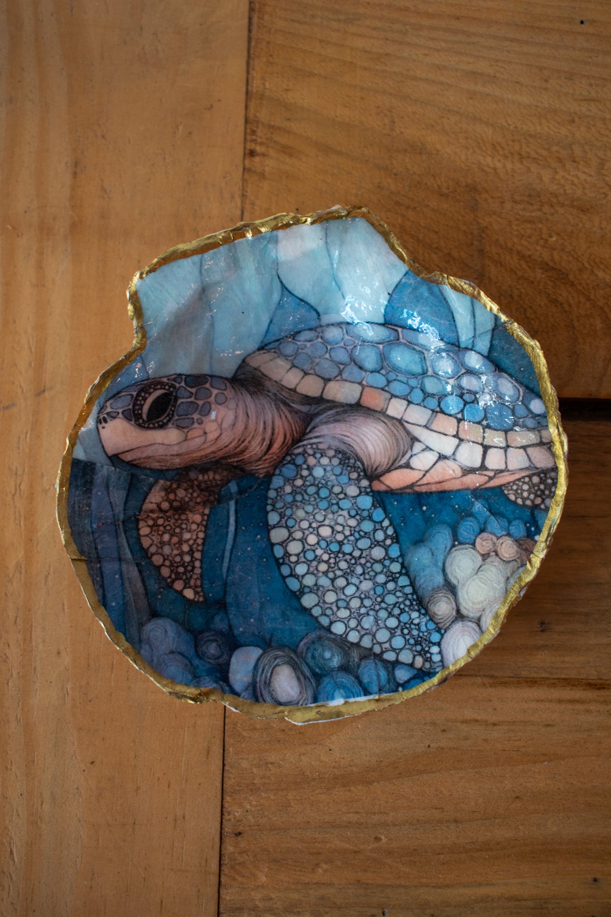 Turtle Antique Shell