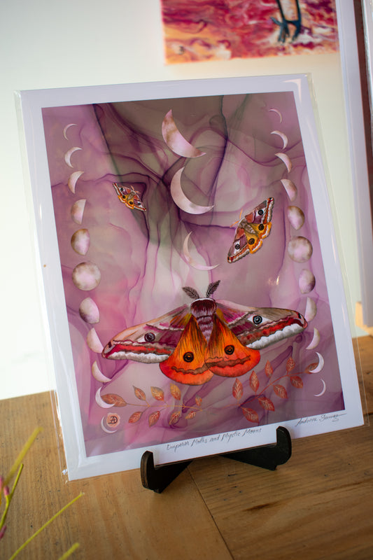 Moth Art Print 8x10 Unframed 002