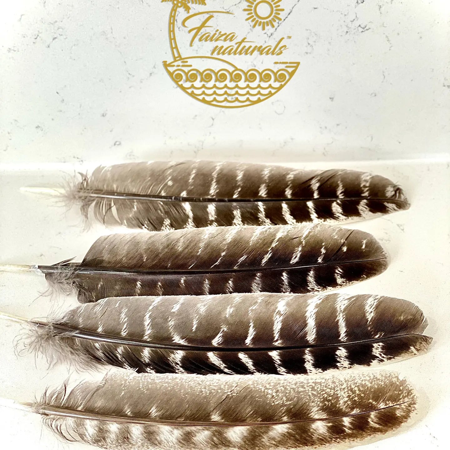 Turkey Feather