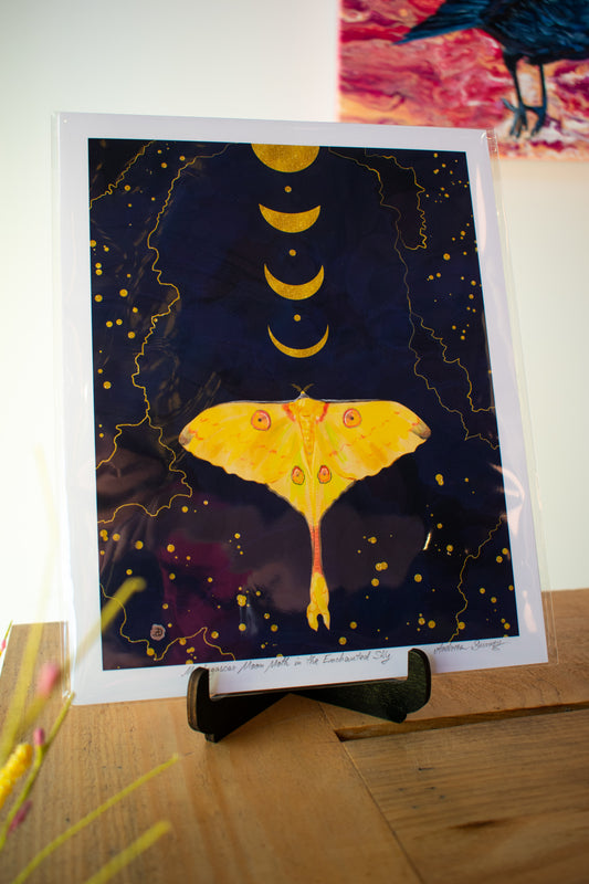 Moth Art Print 8x10 Unframed 004