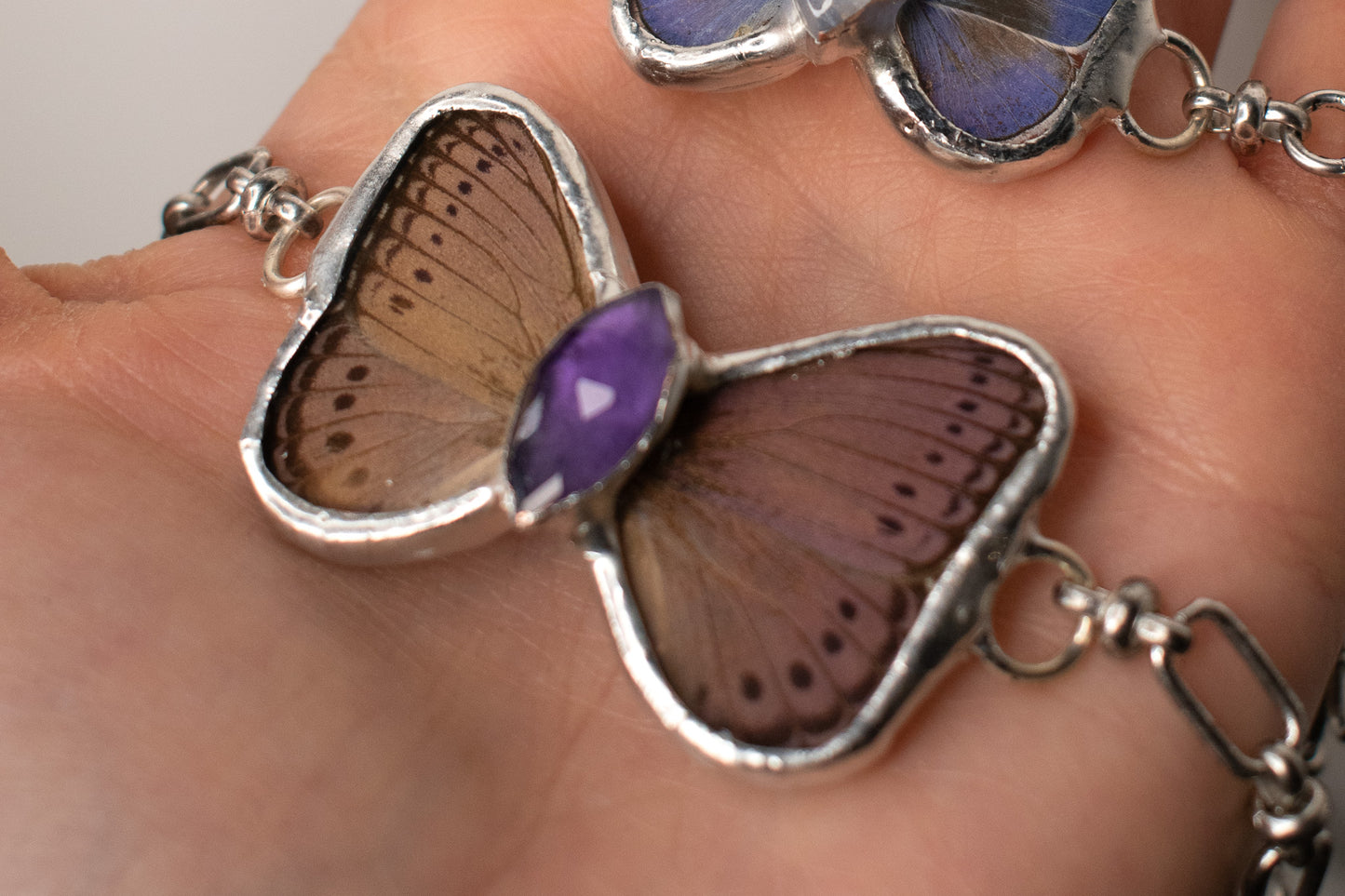 Crenis Pechueli W/ Amethyst Choker