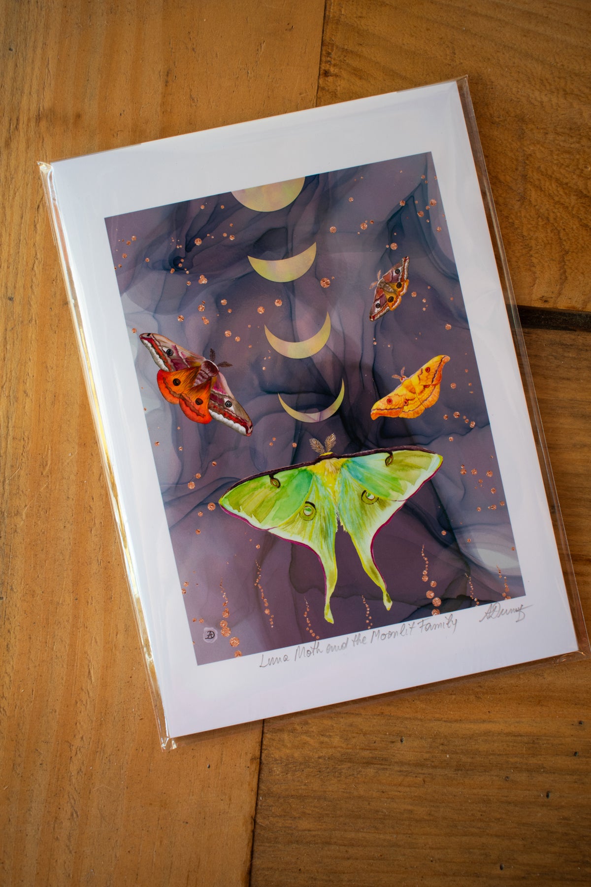 Moth Art Print 5x7 Unframed 006