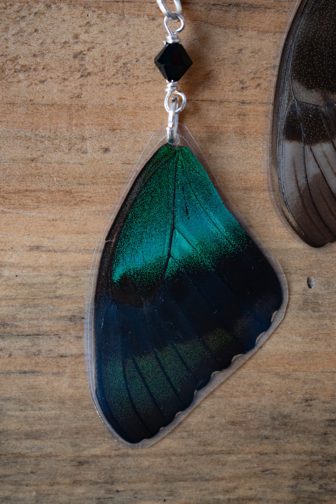 Peacock Butterfly Earrings