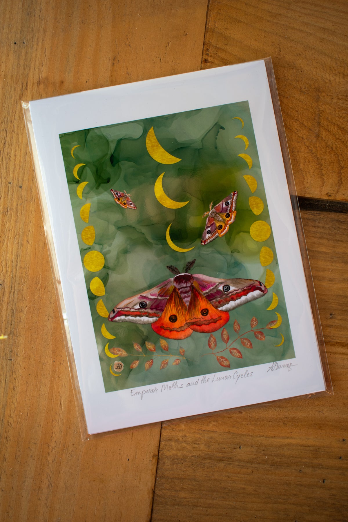 Moth Art Print 5x7 Unframed 005