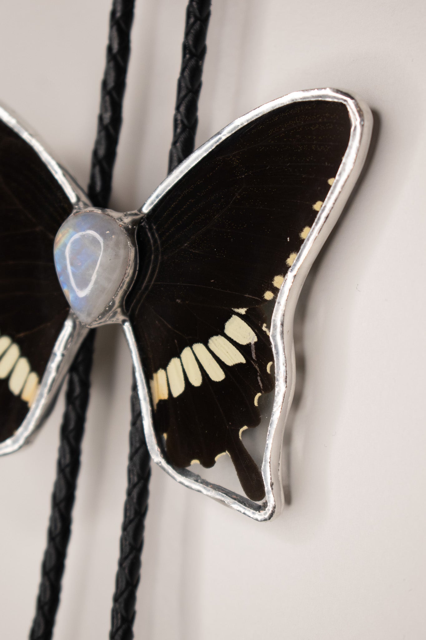 Papilio Nephelus W/ Moonstone Bolo Tie