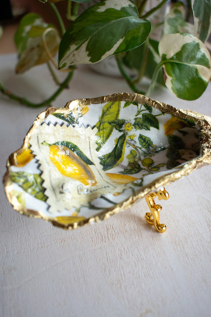 Claw Foot Oyster Dish 010