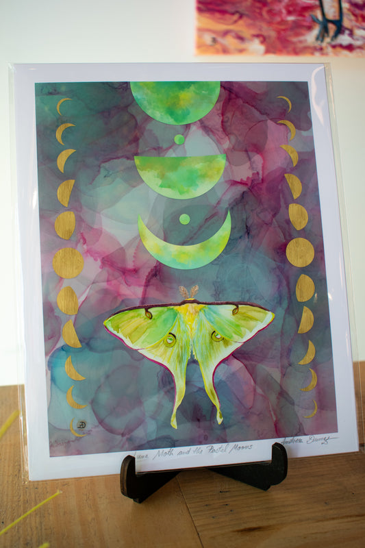 Moth Art Print 8x10 Unframed 003