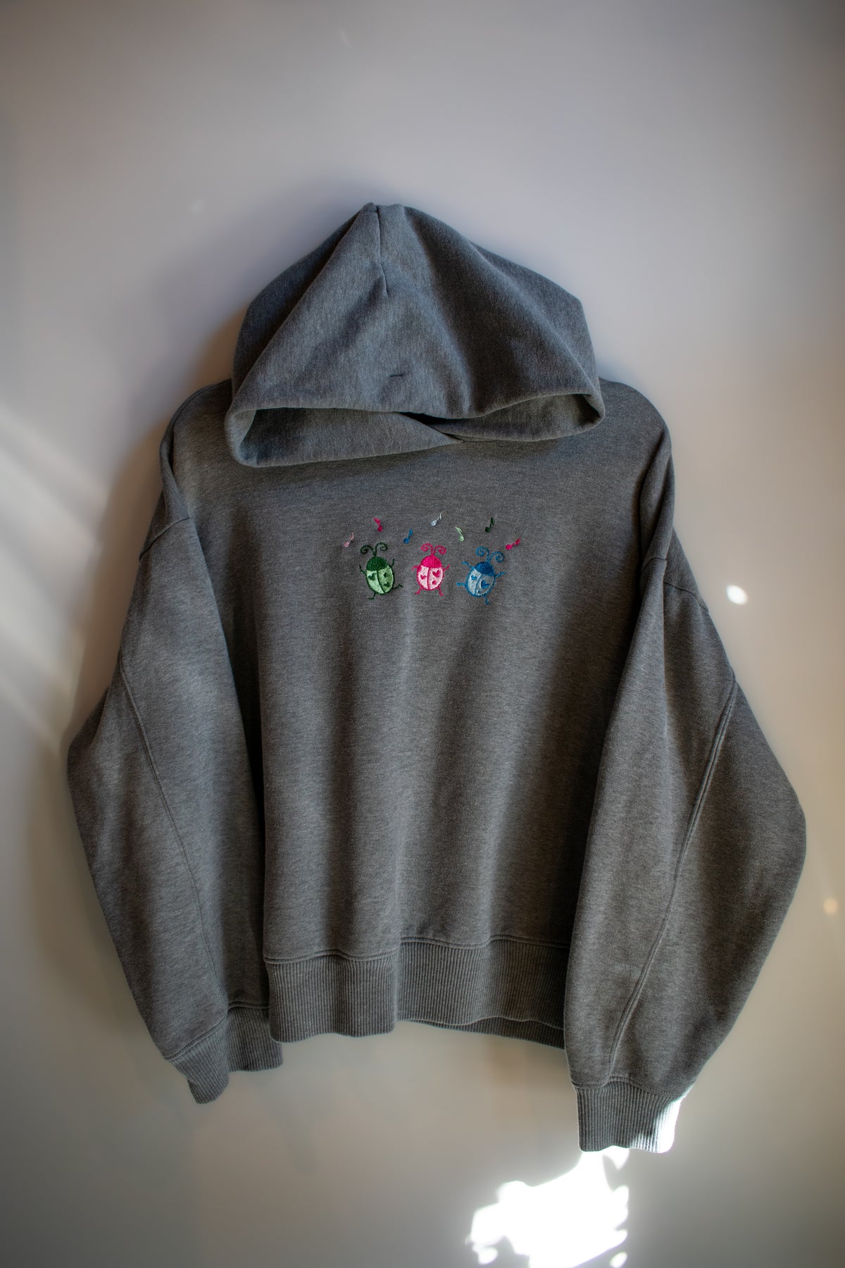 Dancing Bugs Hoodie