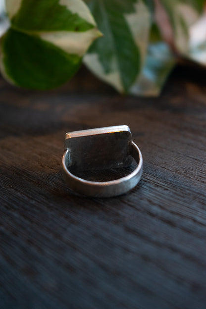 Moss In Silver Ring | Size 7.25