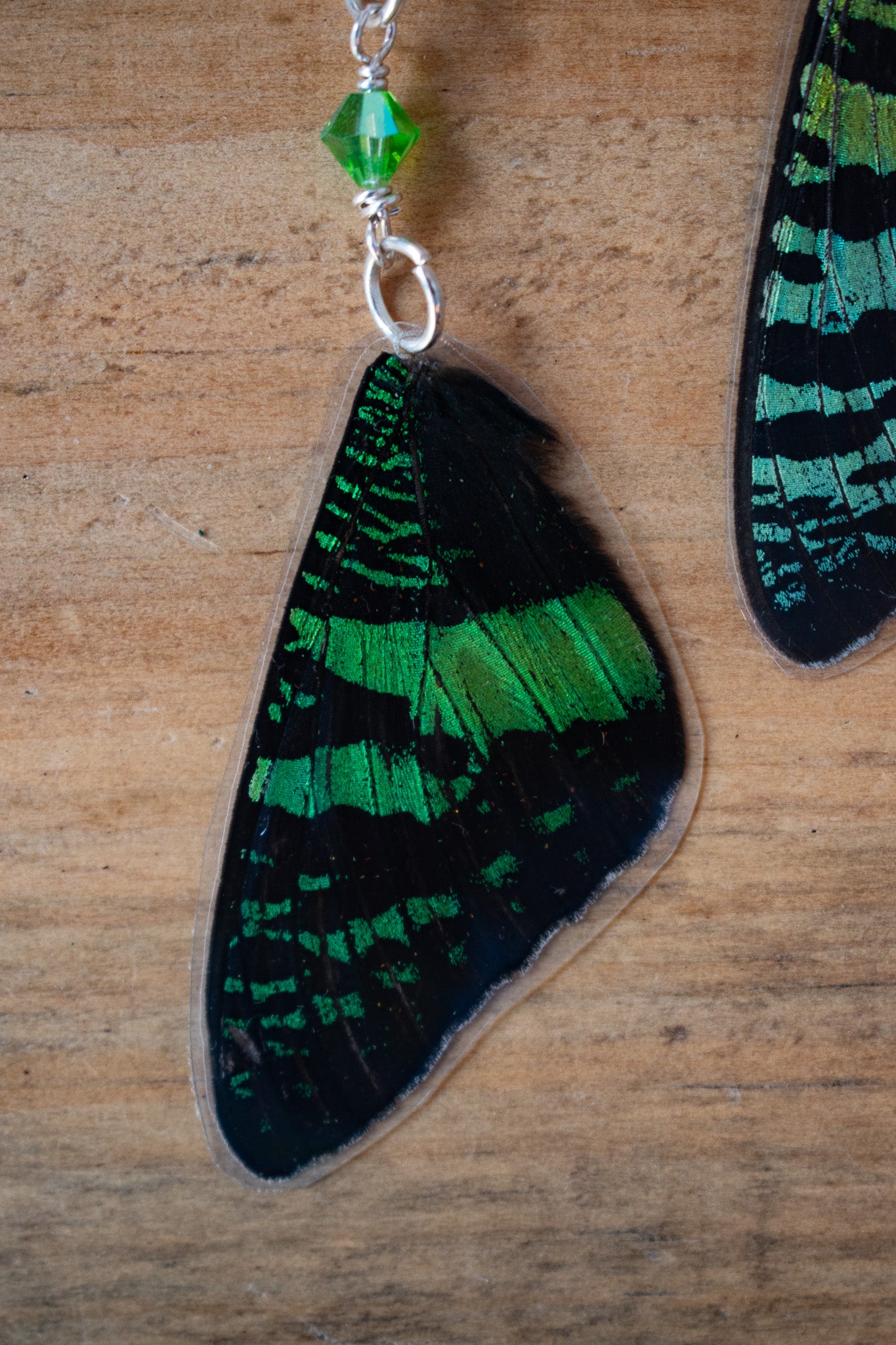 Sunset Moth Earrings