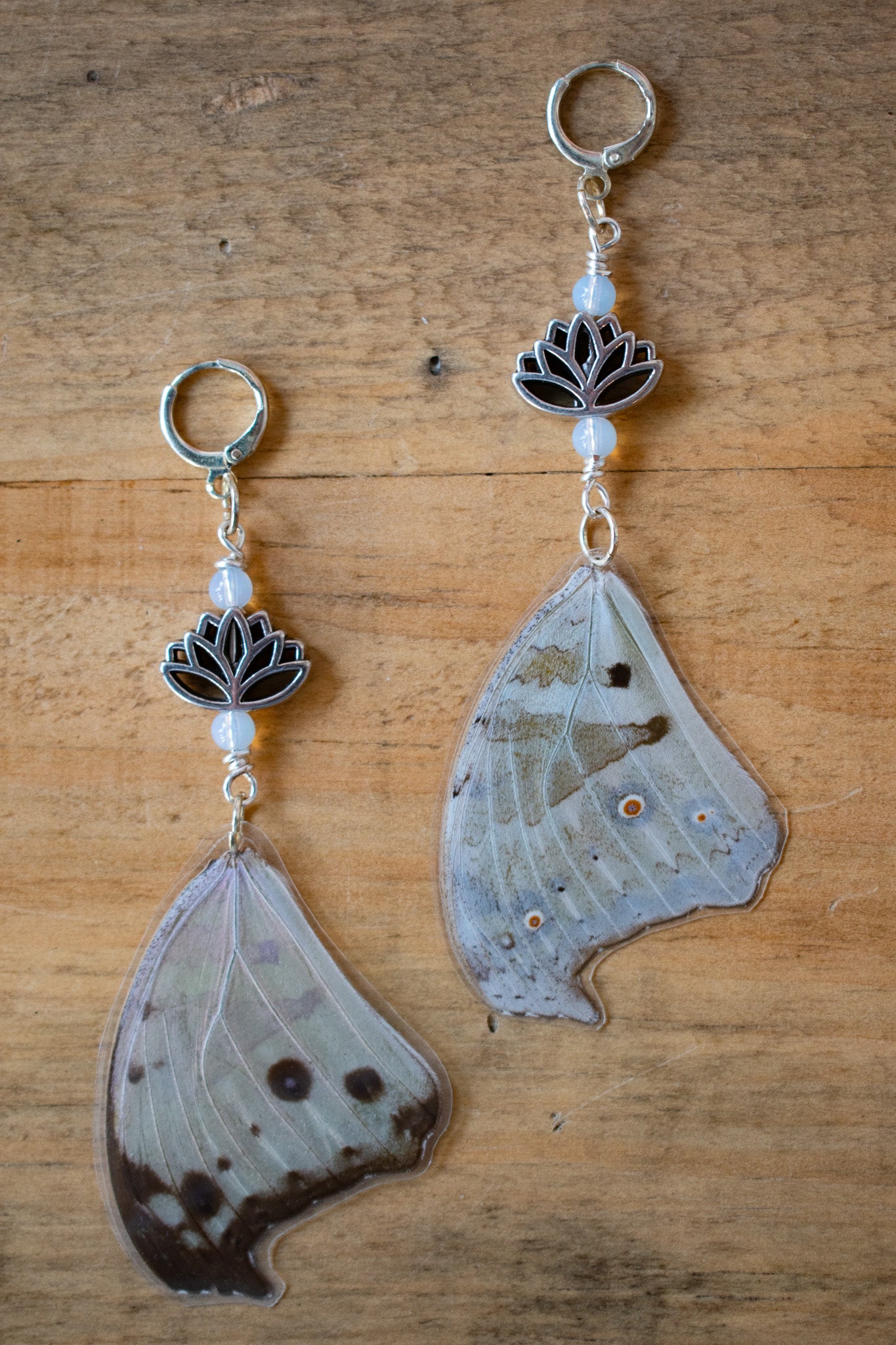 Salamis Parhassus Earrings 2