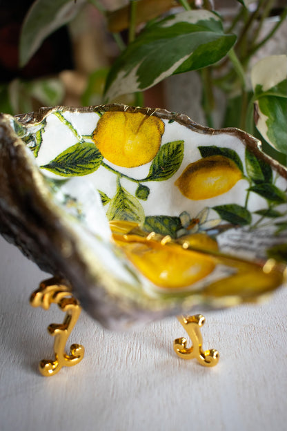 Claw Foot Oyster Dish 007